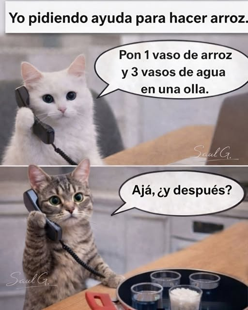 LA PULGA GIAUMAKA (@lapulgatusa) on Twitter photo 