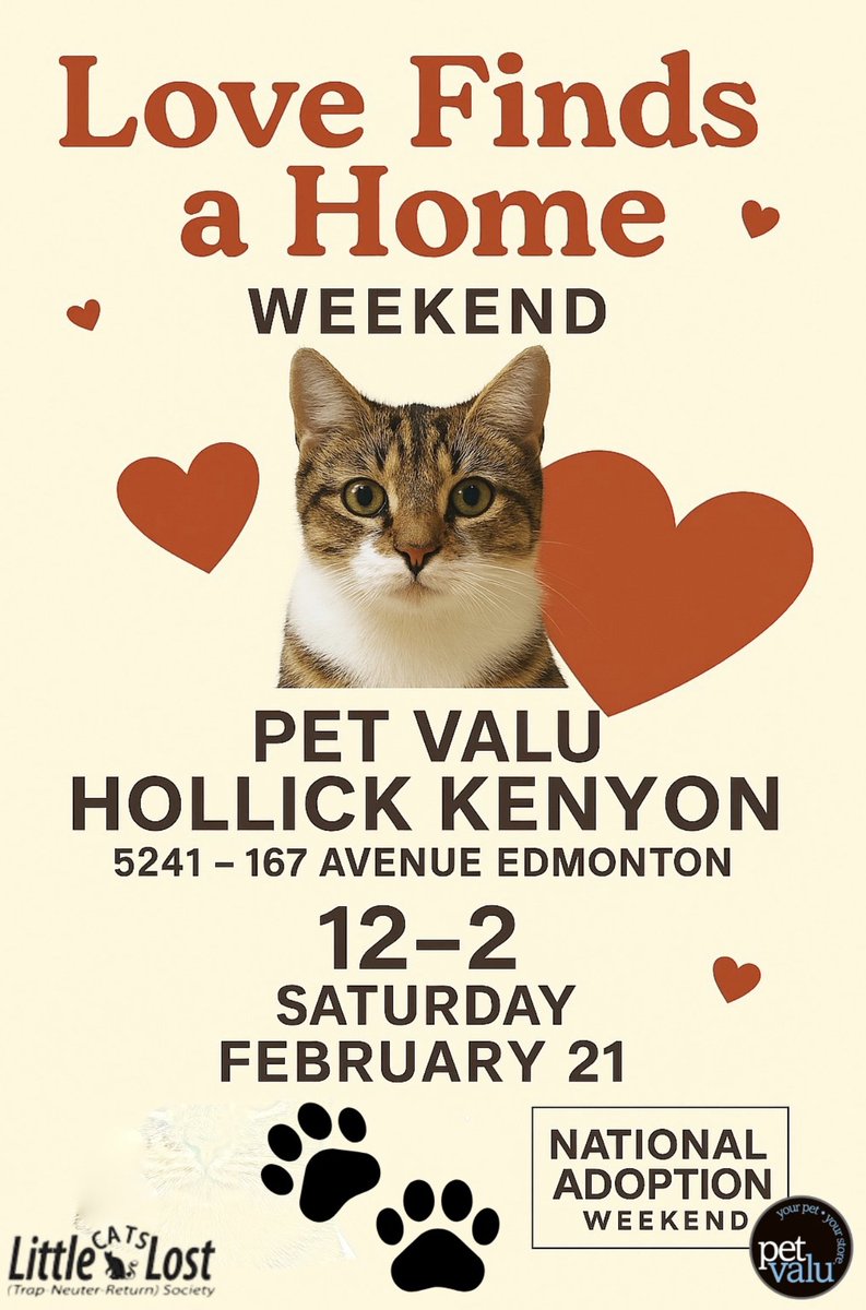 Love is in the air, and one of our rescue cats just might be your perfect match. Join us for a cozy midday adoption event on Feb 21st where you can meet some of our sweetest Little Cats Lost kitties looking for a safe, loving forever home. #yeg