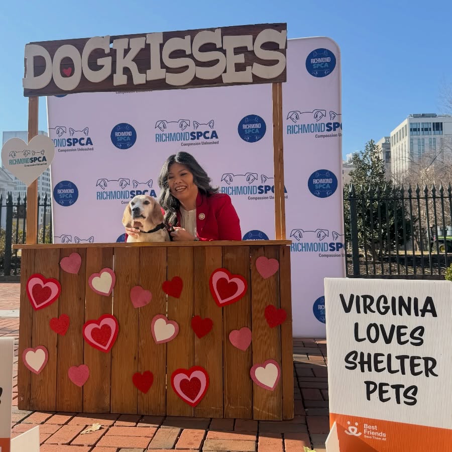 Delegate May Nivar tweet media