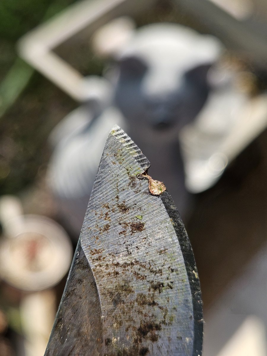Inadvertently cut the water pump cable. 
Choose your tools wisely. 
#gardening