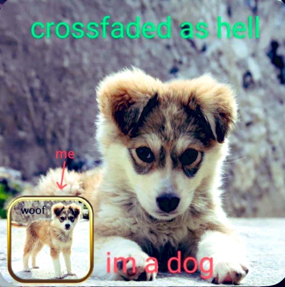 lyla 🔜 fwa tweet media