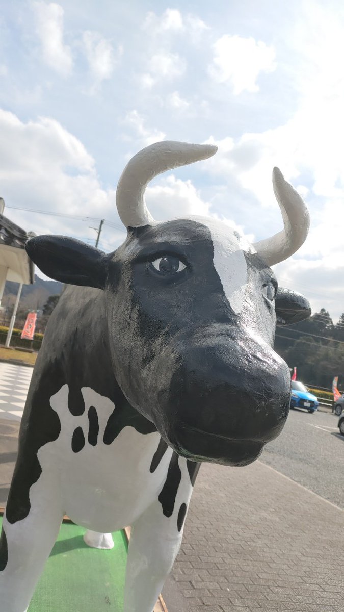 Post by しーな on X: うしーっ！