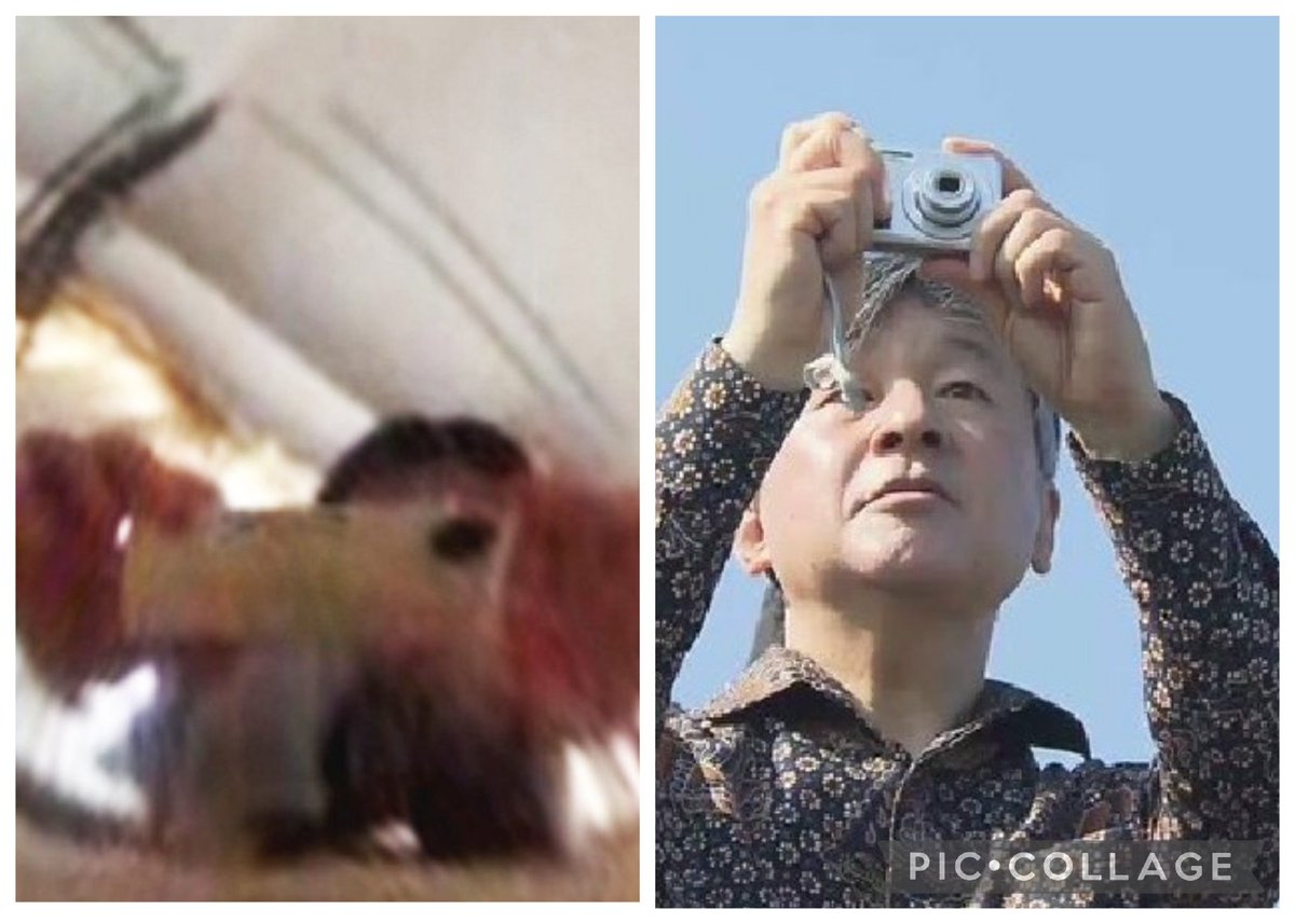 Post by たまき on X: 既視感