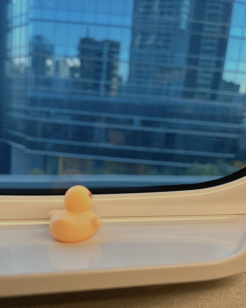 お前を西に連れて行く