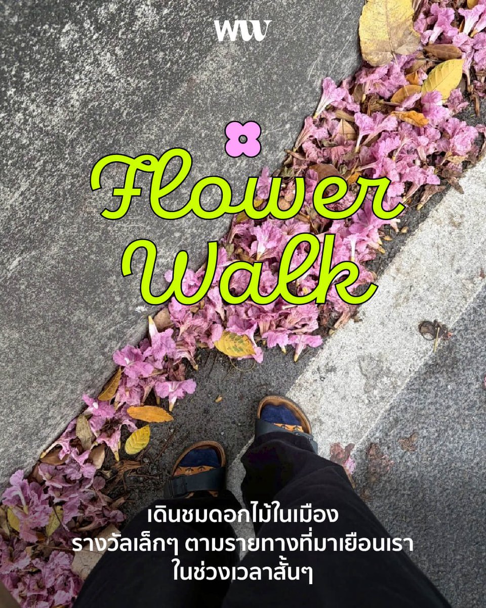 flower walk 🌸
เดินชมดอกไม้ในเมือง

ในวันแห่งความรักนี้ เมืองได้เตรียมดอกไม้ไว้ให้สมาคมนักเดินพาตัวเองและคนรัก ออกไปเดินสำรวจความชมพูซอฟต์ๆ ที่แต่งแต้มให้วิวทิวทัศน์สดใสน่ามอง ลองไปเดตแบบเดินเล่นกันก็น่ารักดีนะคะ