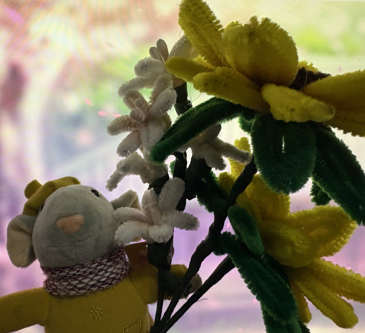 SunnySuuris's tweet photo. No es un ramo (aún 🥹) pero están hechas con todo mi corazoncito para ustedes, nezunnus!! 🌻💛✨

El nezunny representativo estará cuidando de ellas siempre mientras tanto 💛 muchas gracias por acompañarme en el strum y nos vemos mañanita para el strum de Sambalemtimn! 🤭✨ https://t.co/TsHOdRD3O5
