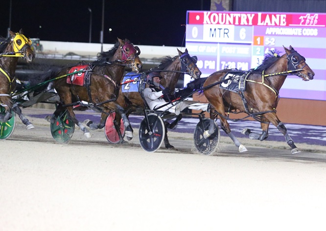 Indiana Harness tweet media