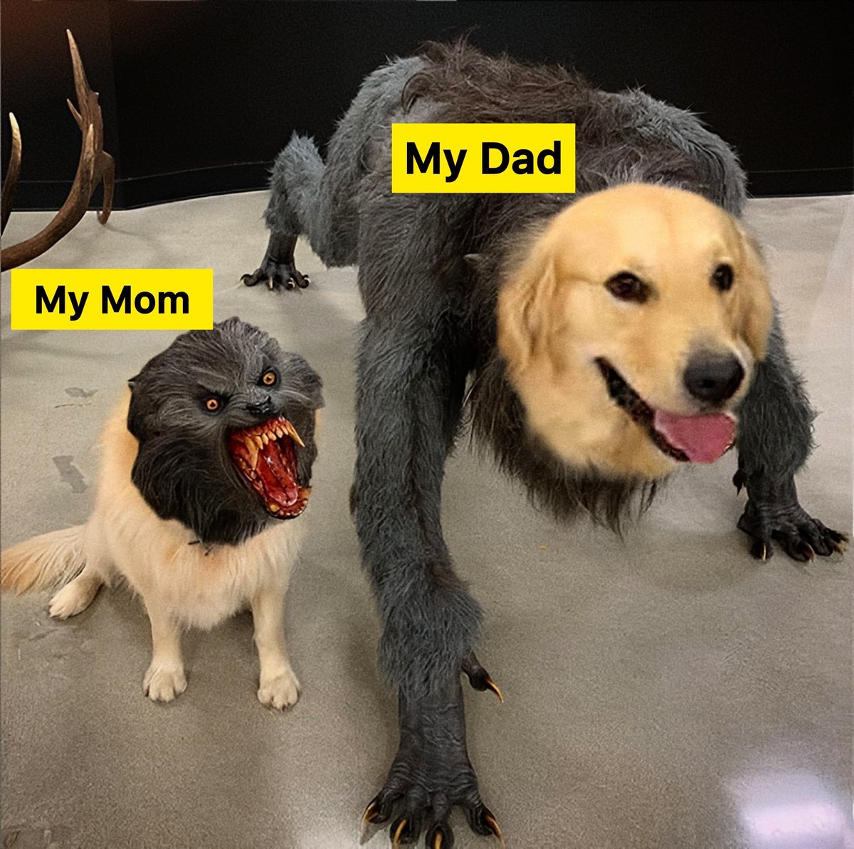 Fun At All X tweet media