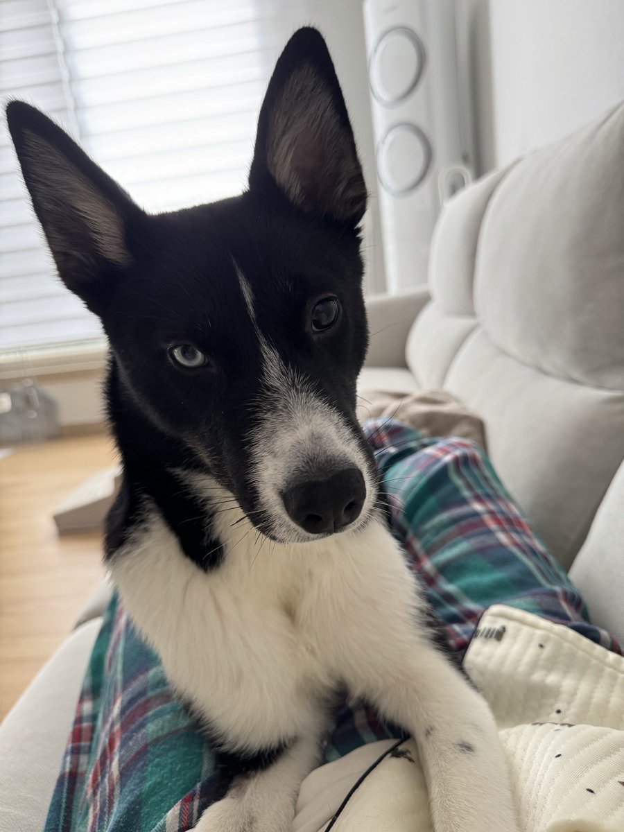 띠로 몸통 다리로 꼭 잡기 ㅋ