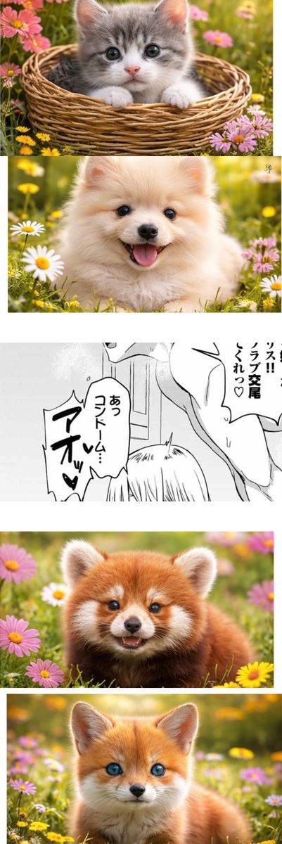 あかり🍒 tweet media