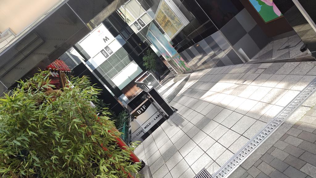 ルー・のり・アシュリーペッカー tweet media