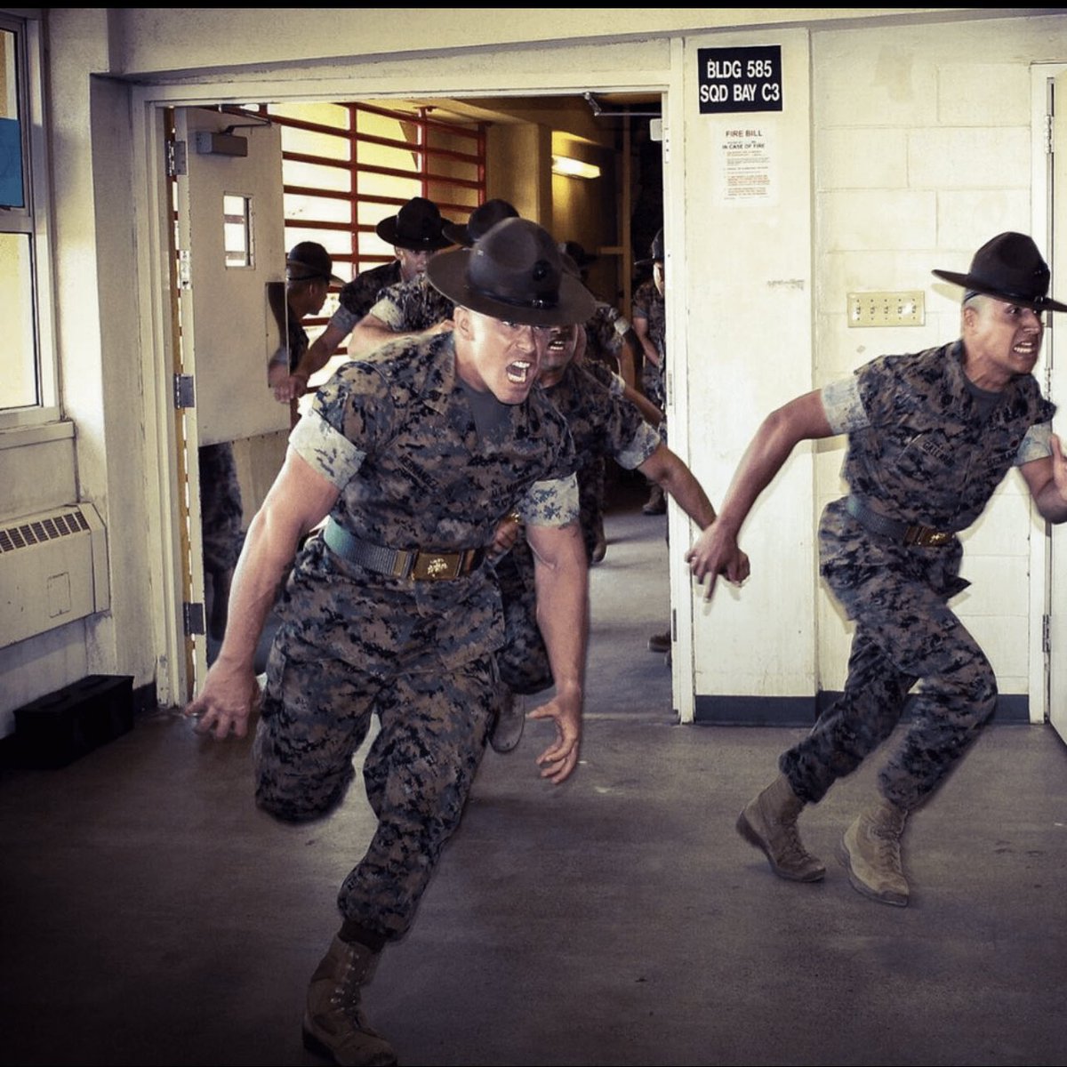 Military Support tweet media