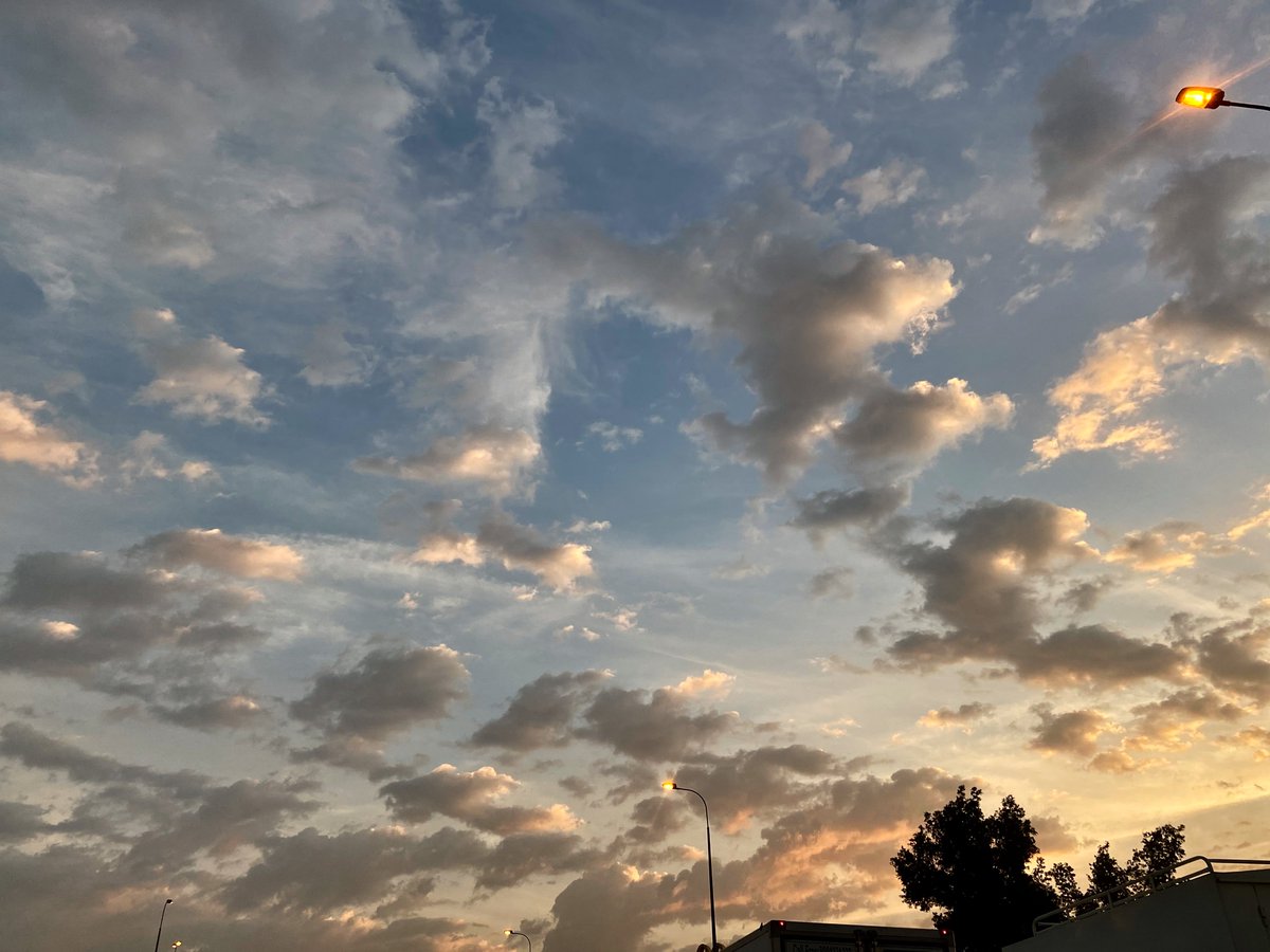 sirius (@shinitaii0) on Twitter photo 