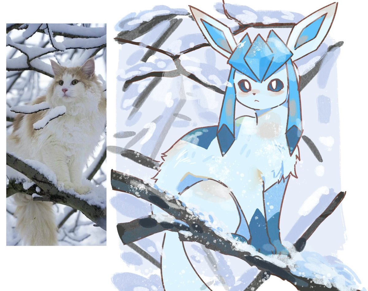 세타 セタ (@seta629211) on Twitter photo 