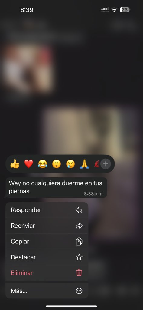 imagínate estarme tirando shit y yo acostada con uno de mis 5 gatos viendo inspo en Pinterest 💞