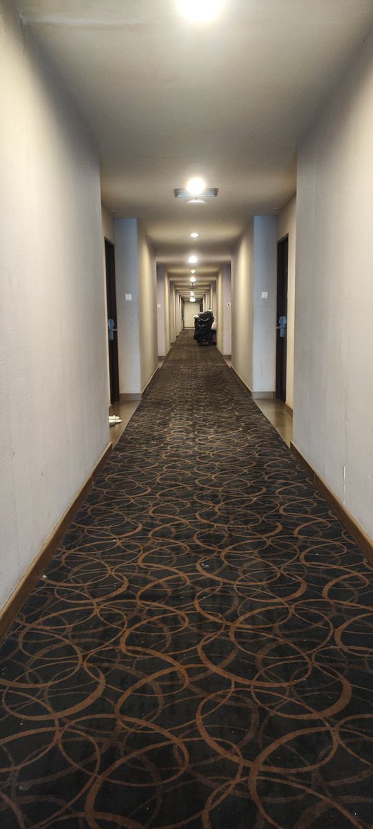 Ocipala chinese pass tweet media