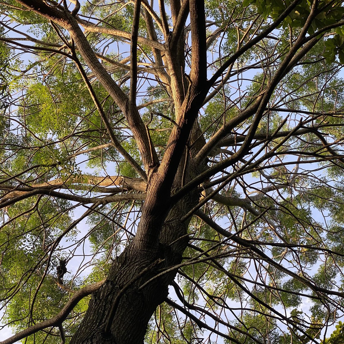 Wisdom Park ☀️💌