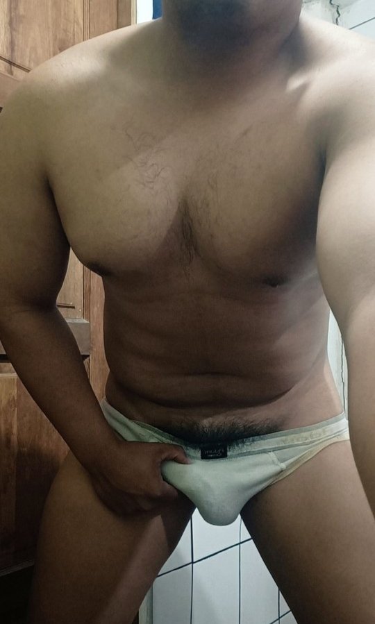 pigustoxyz tweet media