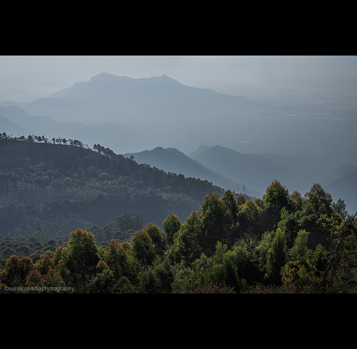 SunilKapadia19's tweet image. _SSK1211 Grading Nature.
Buy This Photo Art Print 
#grades #gradation #nature #color #colorphotography #landscape #colorlandscape #colorlandscapephotography #green #forest #trees #mountains #haze #blue #mesmerizing #breathingtaking #serene #tranquil #Kodaikanal #Tamilnadu #India