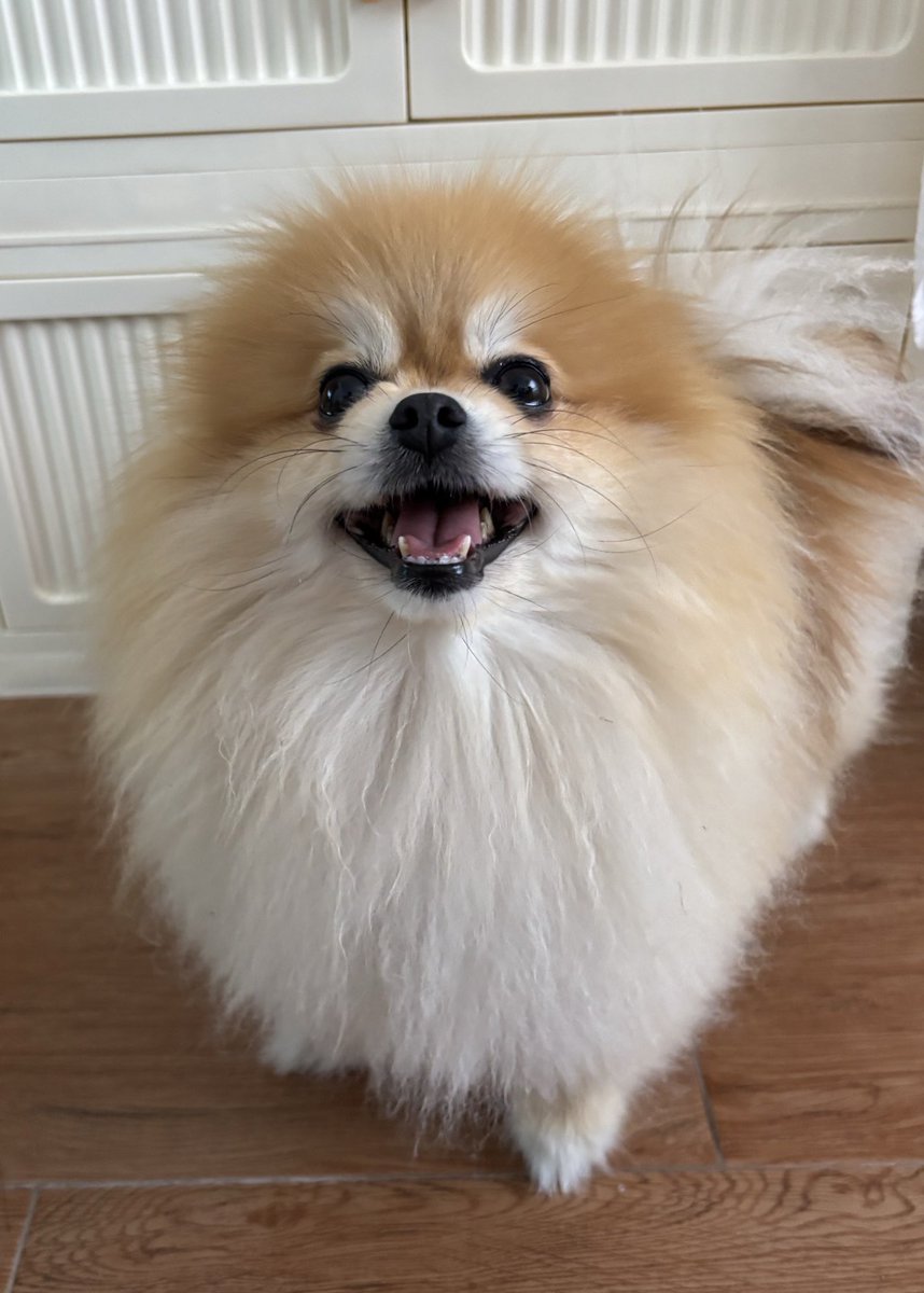 ﾆｶｯ