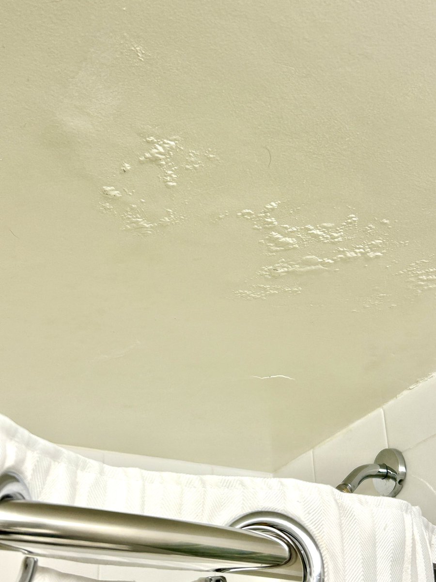 Dianna Ippolito tweet media