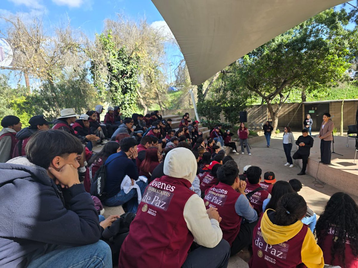 Beatriz Olivares P. tweet media