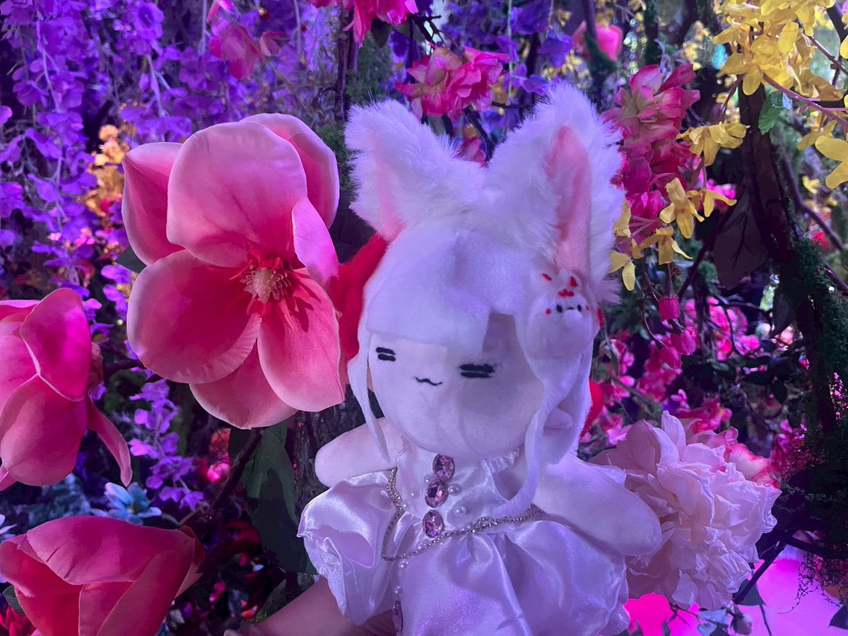 稻荷七櫻🌾🌸 遜炮食材系VTuber 四週年 商品上架囉 tweet media