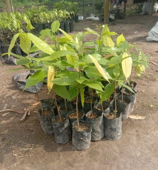 차니ᵛᵃᵈᶦᵈ tweet media