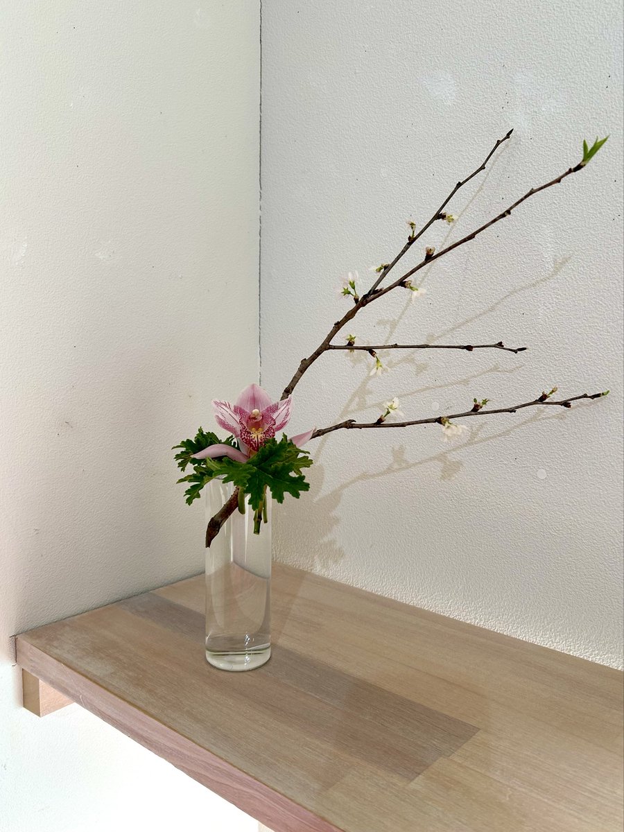 バタついてしまって今になってしまった💦

葉っぱがいい感じに出てきたから軽くイメチェンした🙋