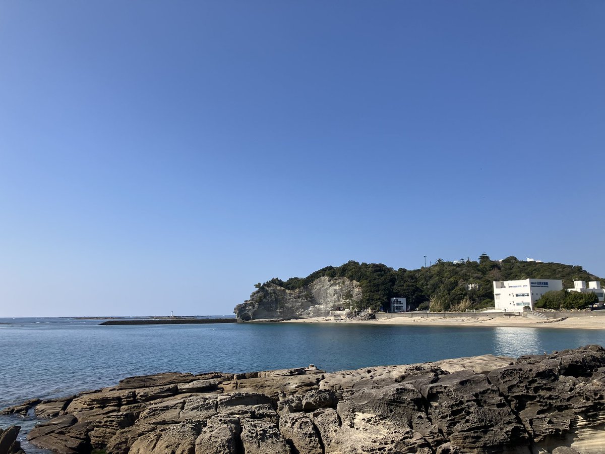 春を感じるぽかぽか。実験所構内の梅も咲きました。ほぼ凪。