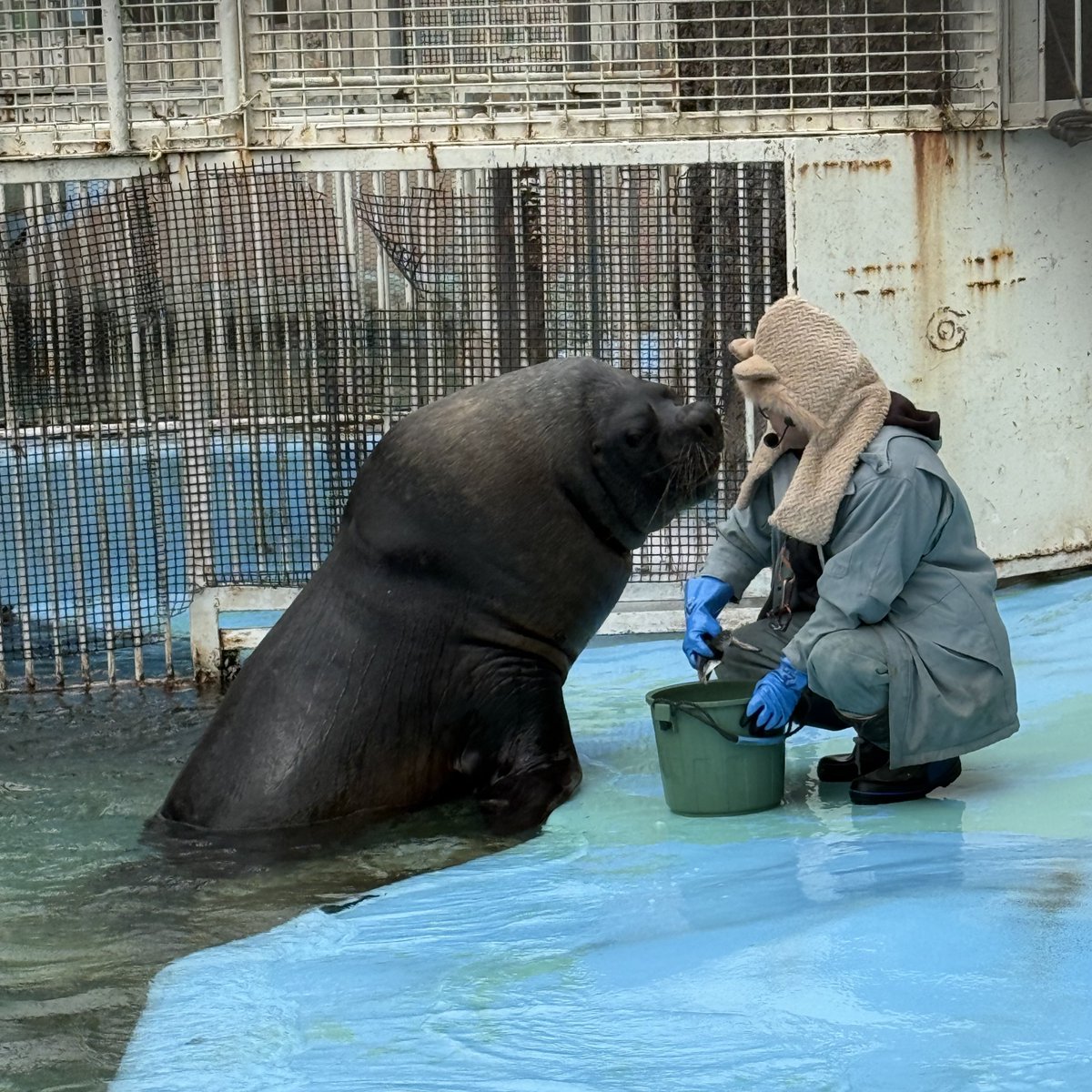 スピカ☆ (@supica521) / Posts / X