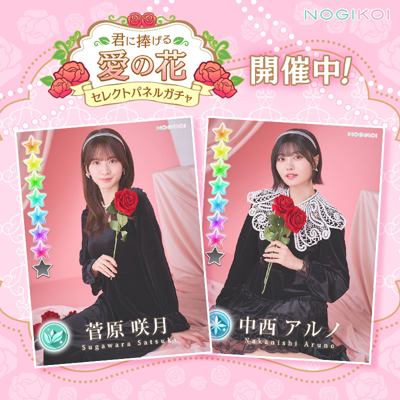 🌹⋰ ⋱🌹°｡ 君に捧げる愛の花 ガチャ 開催中 °｡🌹⋱ ⋰🌹｡° #菅原咲月