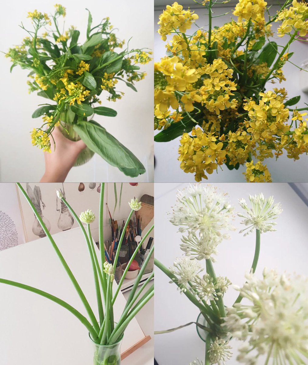 ดอกไม้ 2 ชนิดที่เคยซื้อให้ตัวเอง แล้วประทับใจค่ะ (ไม่ที่ความสามารถพอจะหาคนมาซื้อให้55555)  

ประทับใจเพราะ เดิมทีน้องจัดเป็นวัตถุดิบทำอาหาร แต่พอใส่แจกันละสวยเริ่ดเลยล่ะ ได้แก่ 🌼 *กวางตุ้งดอก และดอกหอม* 🌸

- กวางตุ้งดอก (เช่น เมนูผัดน้ำมันหอย) - ราคากำละ 10 บาท