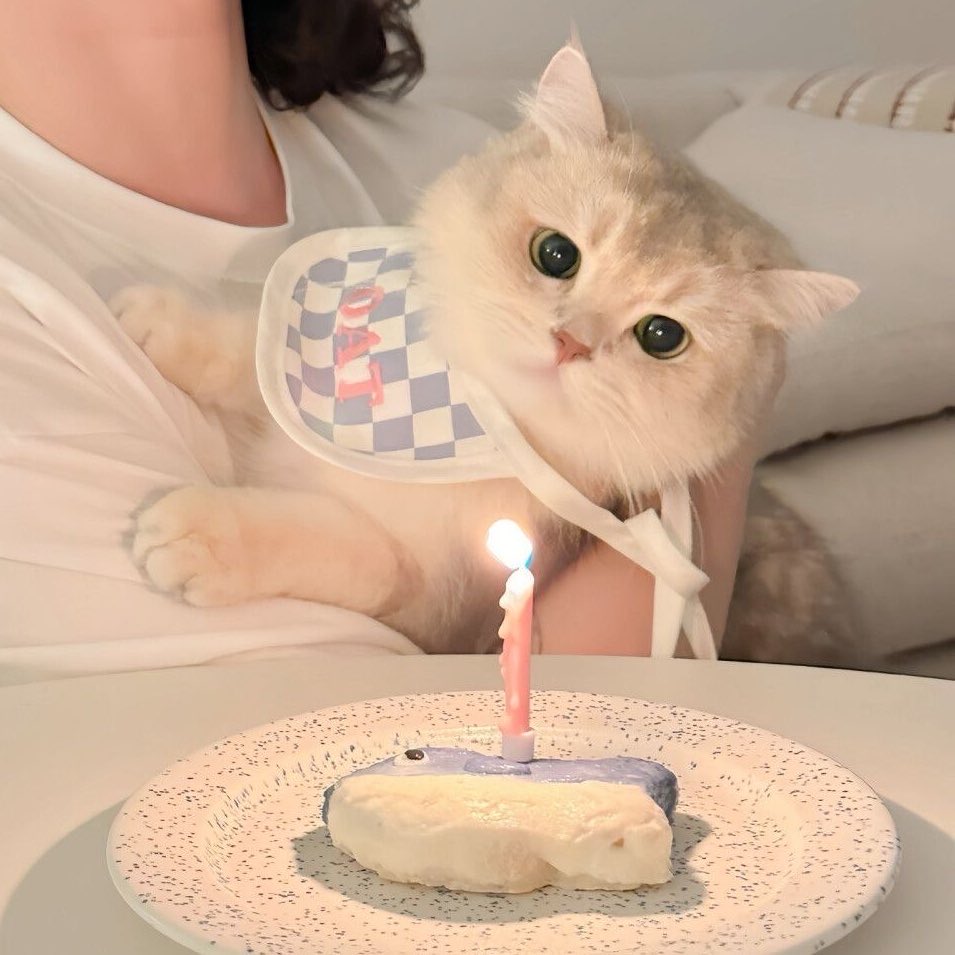 วันเกิดปีนี้ได้กิมเค้กรึยังน้า ˗ˏˋ꒰🎂꒱ˎˊ˗