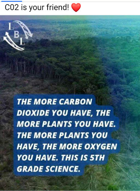 DLaw55056286's tweet photo. @algore You are a lying criminal who sought to enrich yourself by forming a carbon trading company and then attempting to force people to buy carbon credit by LYING ABOUT CO2. CO2 is plant food. The World would die without it. IT IS NOT A POLLUTANT. #criminal #liar #provenwrong https://t.co/TAys2NhYvX