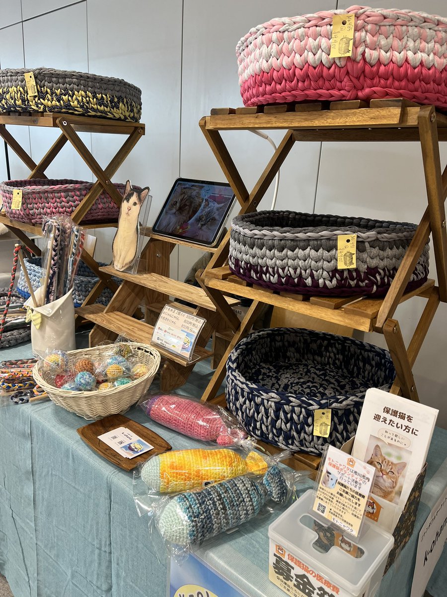 本日スタート🐱✨
「ちよだ猫まつり2026」出展中です！

📍ブースNO：10
🕒 11:00〜18:00
📍千代田区役所（九段下駅6番出口）

ブースNO.10 🐾
お待ちしております！

#ちよだ猫まつり2026 #ニャンダフルマーケット
#保護猫 #猫カゴ #Tシャツヤーン