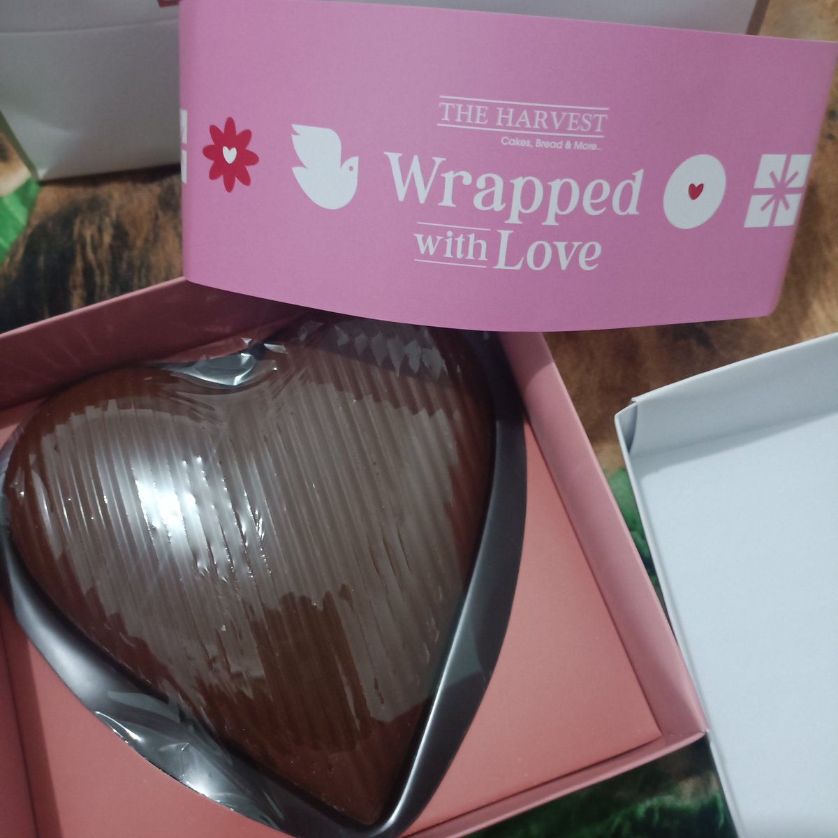 buyny's tweet image. best feb 14th ever!!!!! 🤍🤍