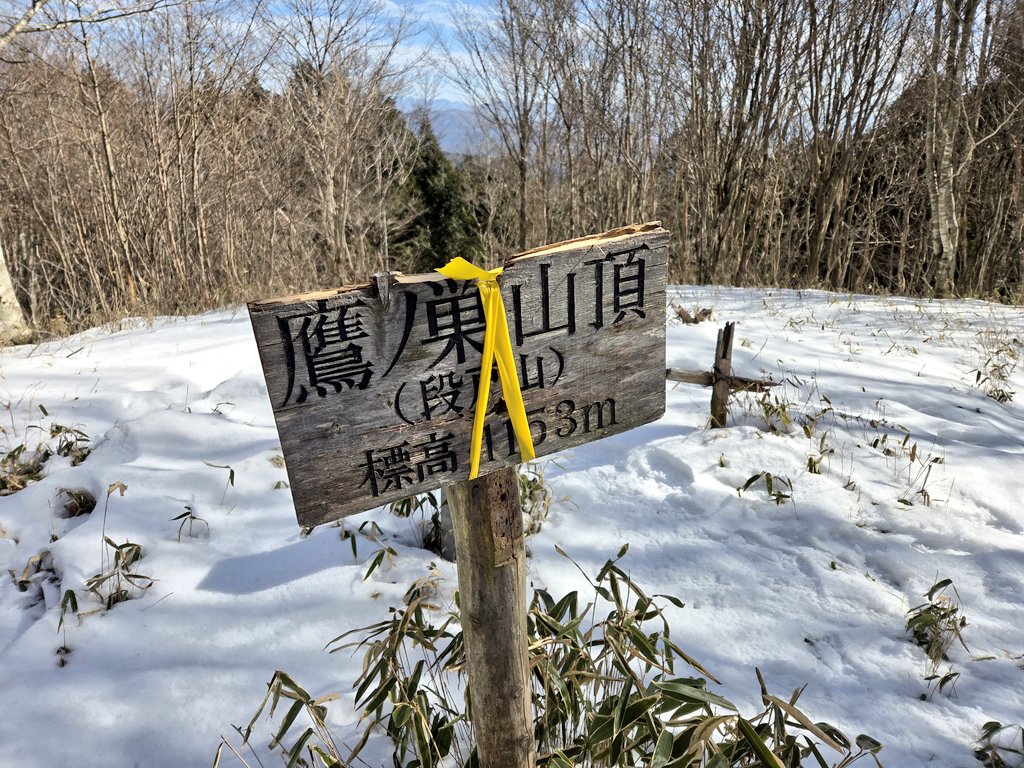 JL3MNP🗻🏕️🎣シガAY48 kaz tweet media