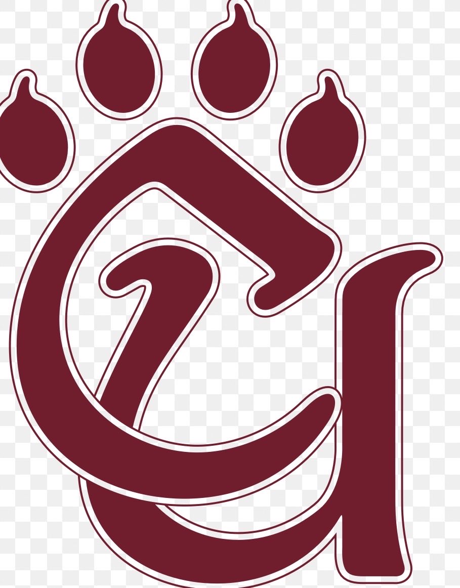 Konnor fox tweet media