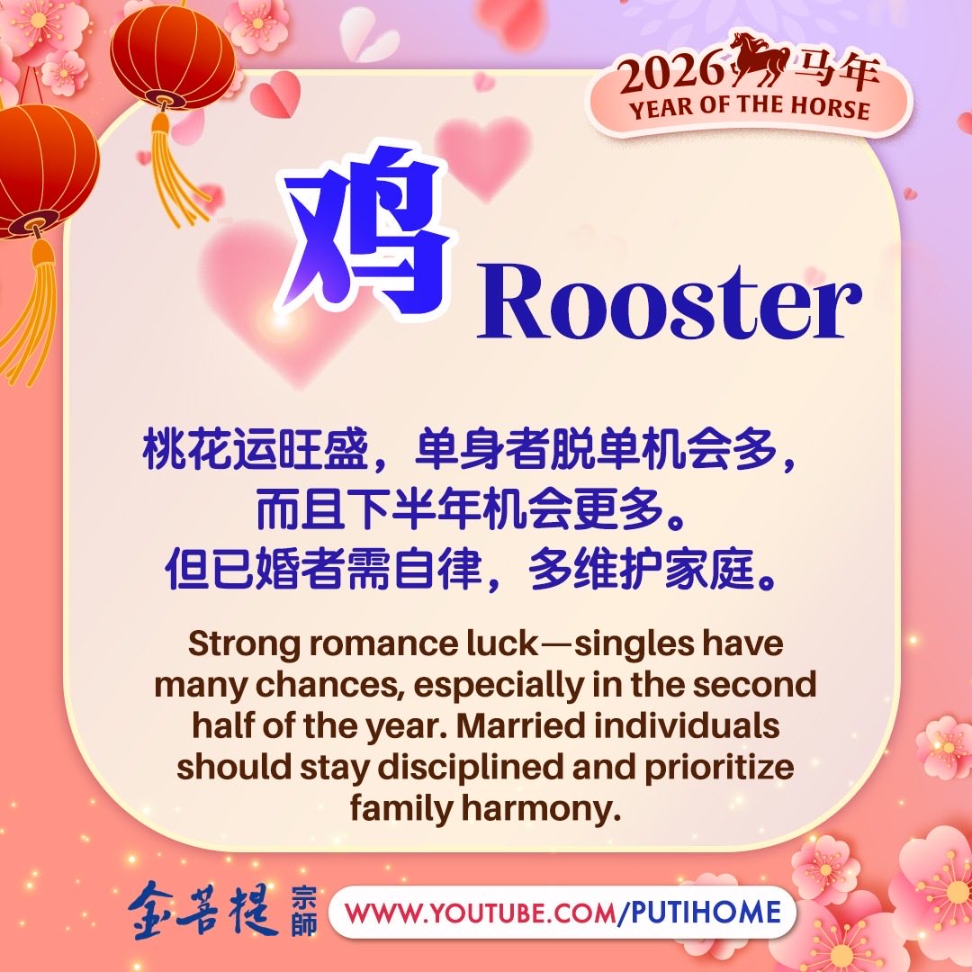 金菩提宗师 Master JinBodhi tweet media