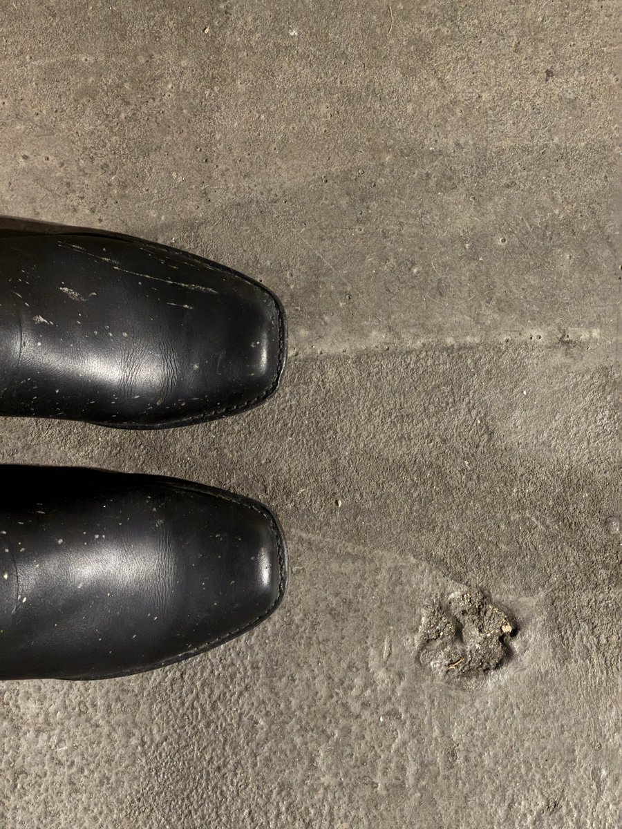 BlaqMagic__'s tweet photo. Puke boots https://t.co/cH22psOB9x