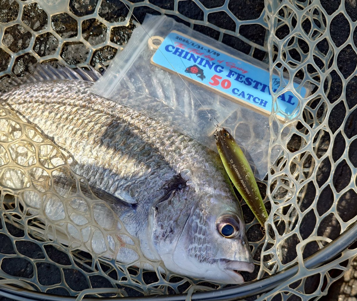 もりぞー (@morizo57) / Posts / X