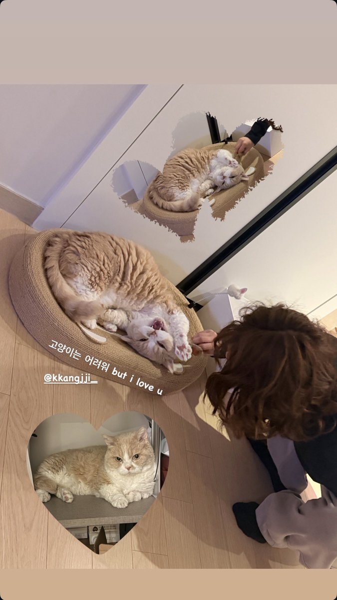 우와 지영언니 집 갔구나!!
고트 귀여워ㅠㅠ