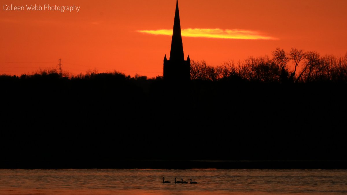 Colleen Webb tweet media