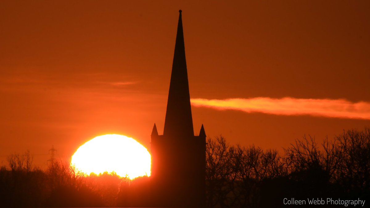 Colleen Webb tweet media