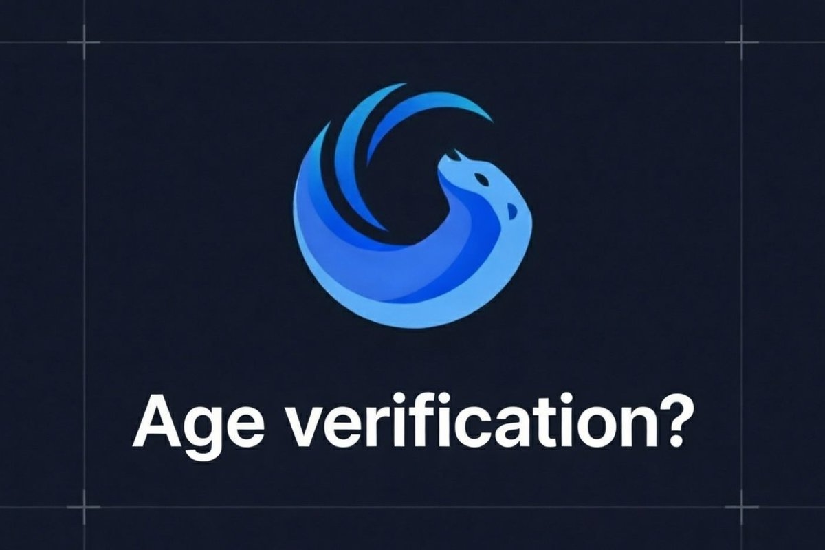 Age verification is becoming one of the most sensitive digital policy questions in Europe 1️⃣8️⃣

With the Digital Services Act in force and countries such as France, Spain, Portugal (reuters.com/world/europe/p…), Denmark and Slovenia tightening or considering stricter rules, platforms
