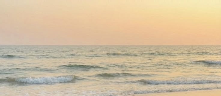 VisualCuriosiT AJ tweet media