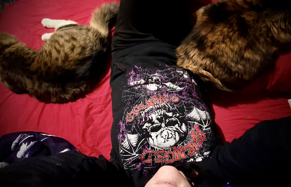 KinkyFoxDen3 tweet media