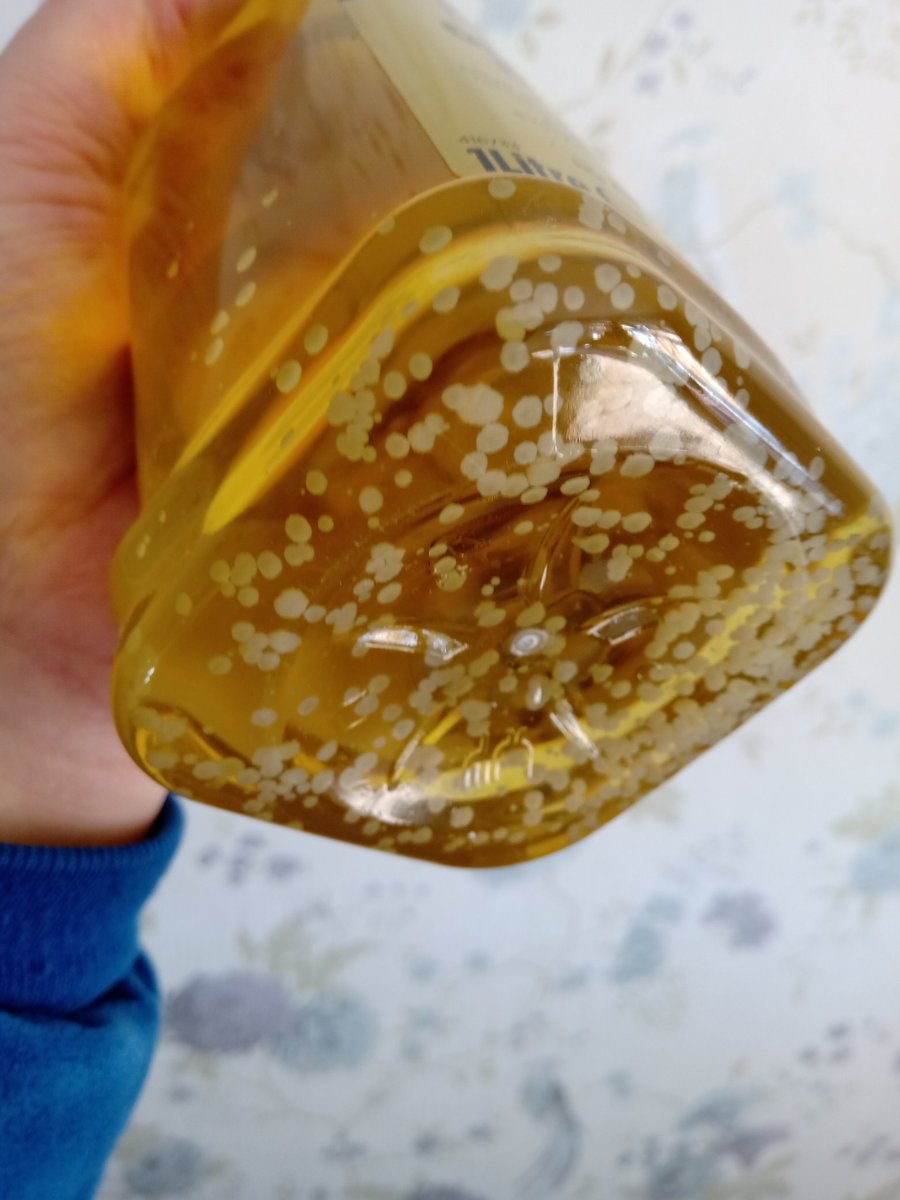 TheLUPOL's tweet photo. Is this olive oil mouldy or just cold? It's about a month out of date. #cookingtwitter @grok https://t.co/BHd56mKOY3