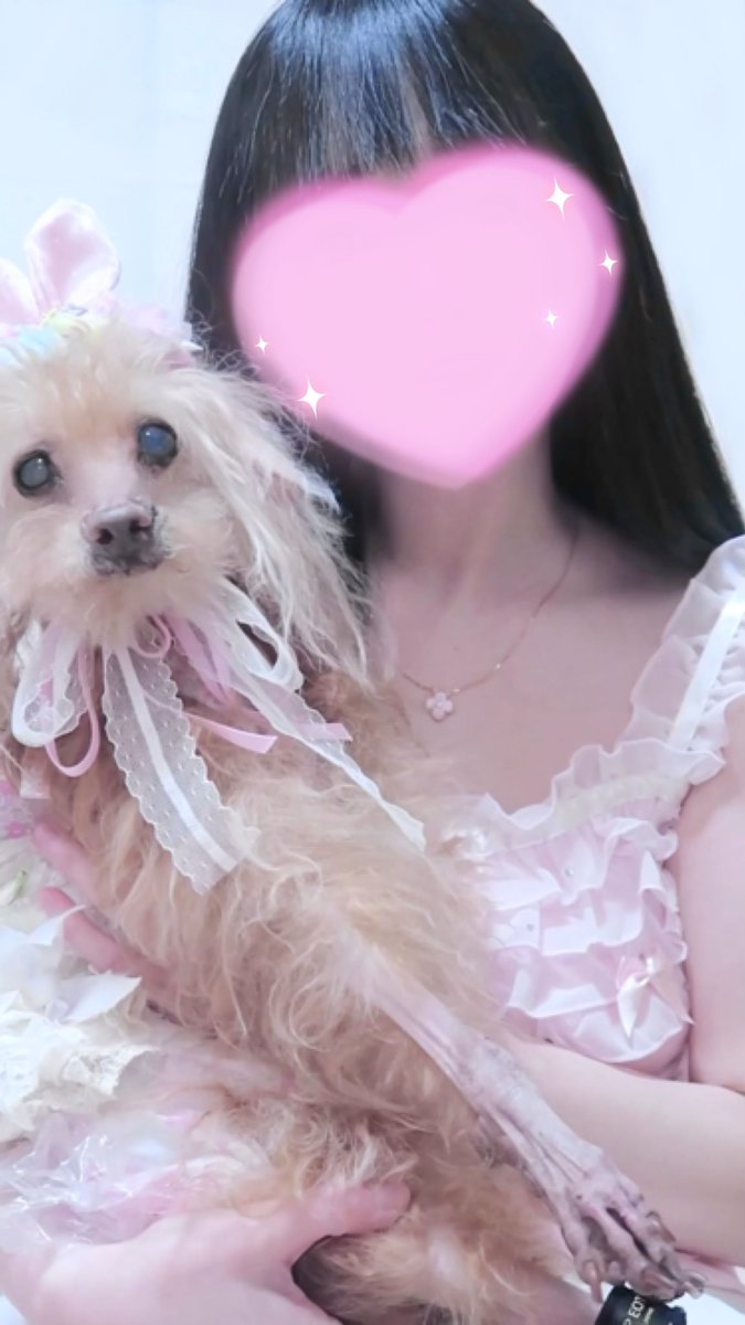 ᴹᴱᴵ੯•໒꒱୨୧ tweet media